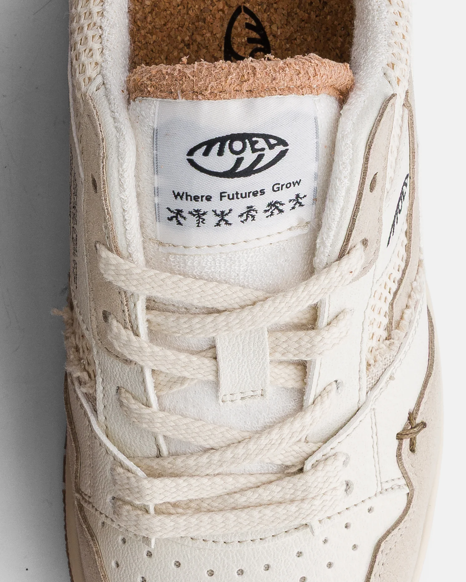 Echo - Craft - Corn - Image 4