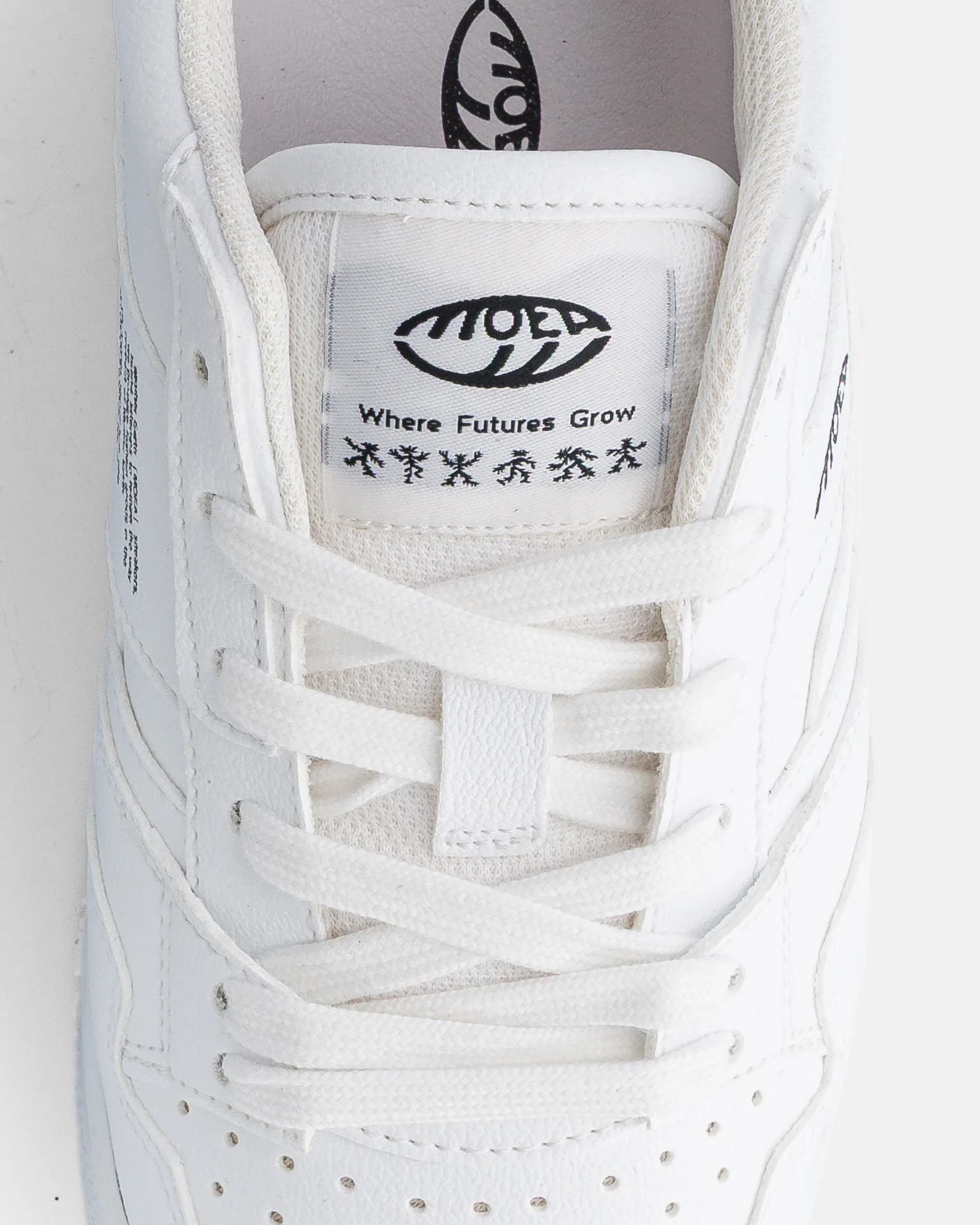 Echo - Full White Grnd - Corn - Image 3