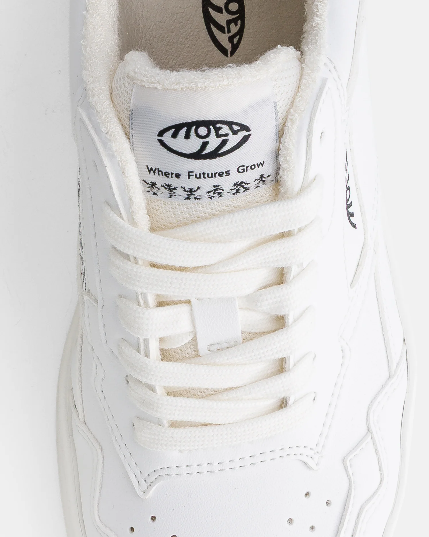 Origin - Full White - Corn - Image 4