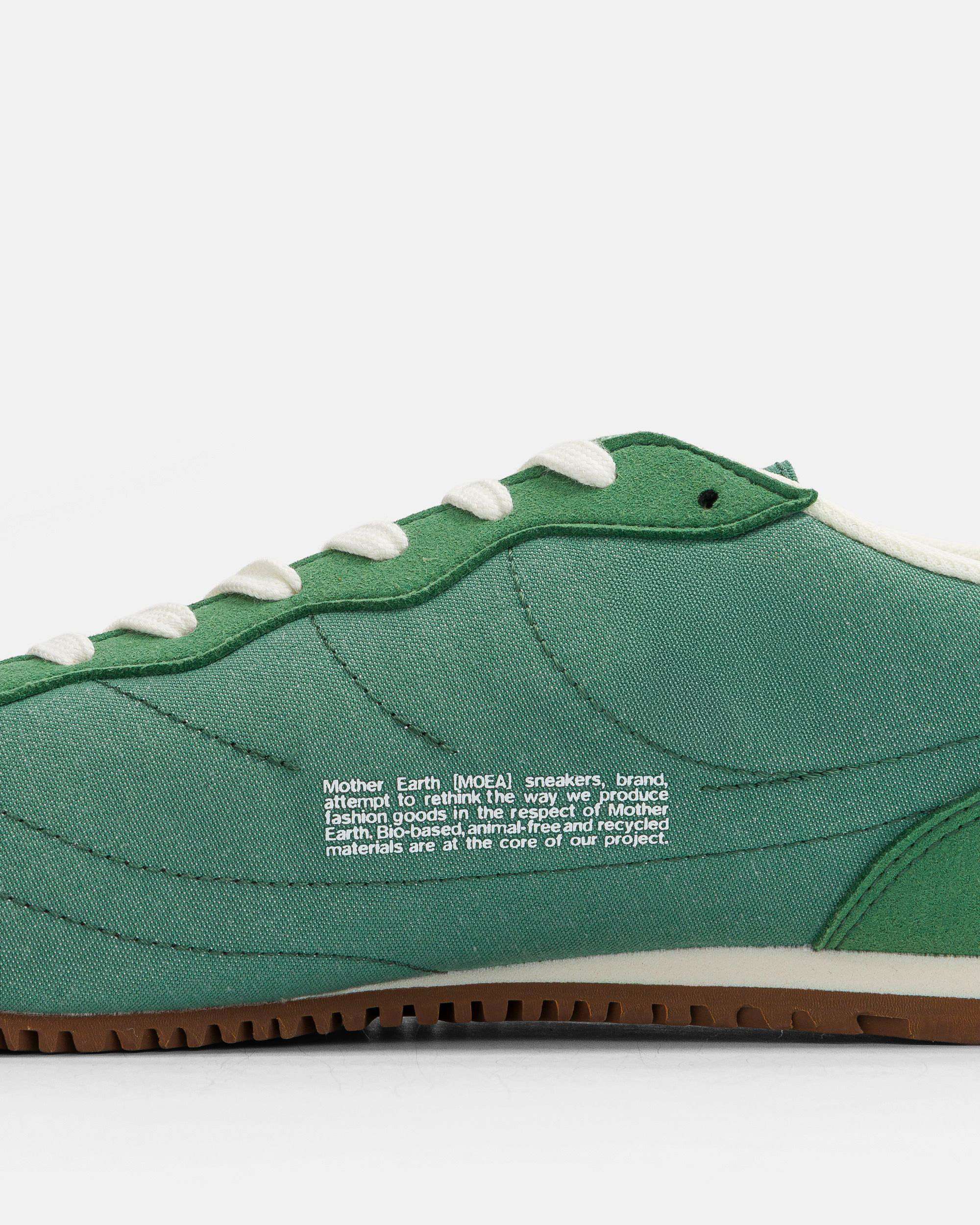 Rise - Green & Red - Corn - Image 7